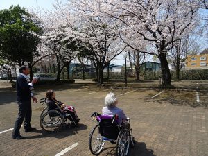 青空と桜が映えますね